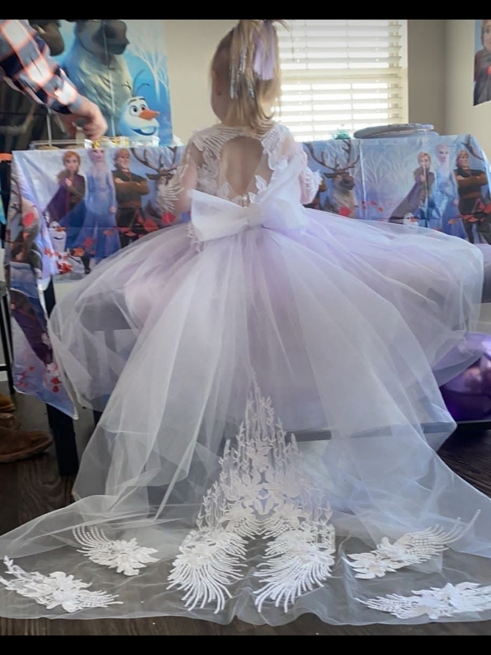 Lilac Princess Tulle Dress with Embroidered Train